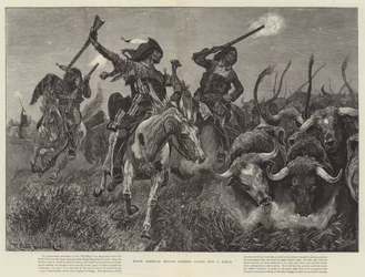 North American Indians Running Cattle into a Ranch